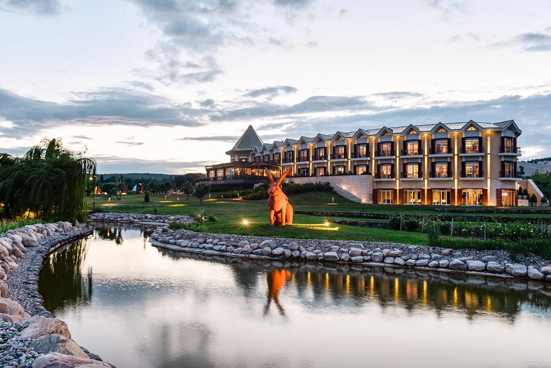 Hotel Caeli